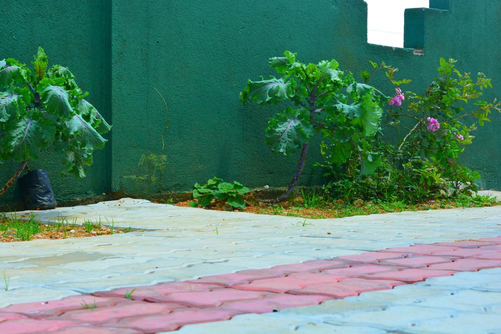 Guest House Hill Paradise Nuwara Eliya Exterior photo